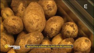 Agriculture urbaine  le choix bio de Louviers  La Quotidienne la suite [upl. by Psyche]