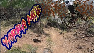 Yarra MTB Trails  Jumps [upl. by Kittie]