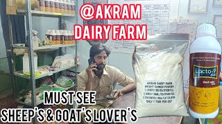 Akram Dairy Farm Pets Clinic  Special Video for Goats amp Sheeps Lovers [upl. by Rayner350]