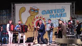 SETTIMANA DEL LISCIO GATTEO MARE  POLKA DAY e GRAN FINALE DI SERATA [upl. by Studley]