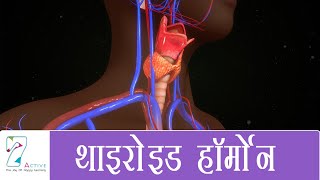 थाइरोइड हॉर्मोन  Thyroid Hormones  Hindi [upl. by Blight]