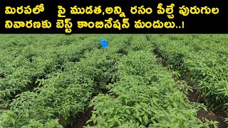 solomon insecticide telugu  bayer solomon insecticide  tata taqat fungicide uses in telugu [upl. by Ynnal]