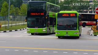 BUSES IN YISHUN TEMPORARY BUS INTERCHANGE [upl. by Eelirem]