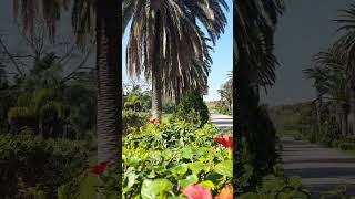 Jardin Public De Rouiba [upl. by Tingey]