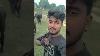 tuntunyadav  song 💯 Pub G ke jesse viral song 💯 Bhojpuri yogeshdancer [upl. by Pritchett]