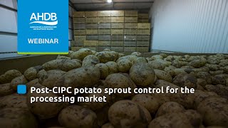 Webinar PostCIPC potato sprout control for the processing market [upl. by Yemarej]