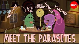 How brain parasites change their hosts behavior  Jaap de Roode [upl. by Eiger549]