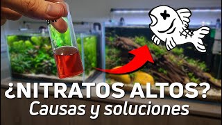 ¿Tienes Altos los Nitratos Cómo Identificar y Solucionar el Problema [upl. by Larrisa852]