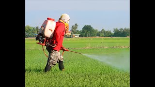 How to treat pesticides poisoning  treatment of pesticides poisoning [upl. by Notsnorb]