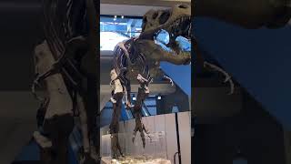 Dinosaur Greets Us at the Pittsburgh Airport 😮 airport dinosaur pittsburgh jurrasicpark [upl. by Janot]