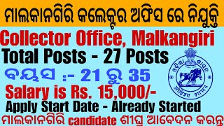 Malkangiri Collector Office Recruitment 2024  Odisha Govt Job Alert [upl. by Halyhs]