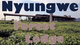 Nyungwe Forest Lodge  Nyungwe Rwanda [upl. by Yzus937]