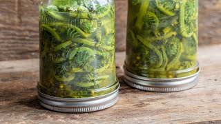 Crisp Fiddlehead Pickles [upl. by Nomit]