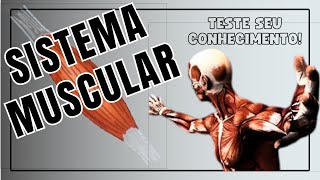 SISTEMA MUSCULAR  Corpo Quiz [upl. by Nylram]