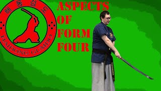 Aspects of Form 4  Haidong Gumdo Forms [upl. by Ole671]