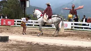 Zapateando JuyayayAnimal Park BañosEcuador [upl. by Okuy226]