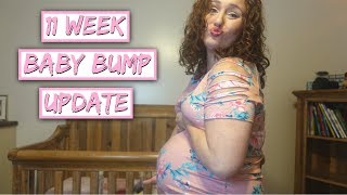 Can We Afford Another Baby  11 WEEKS PREGNANT UPDATE [upl. by Maller340]