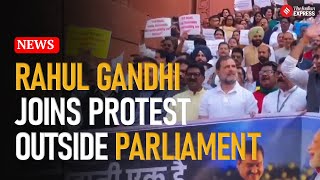 Parliament News India Alliance MPs Protest at Makara Dwar Over Adani Indictment Rahul Gandhi Joins [upl. by Ronym508]