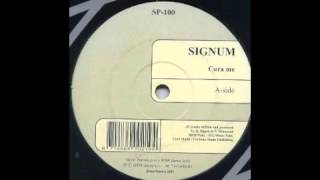 Signum  Cura Me Katana Remix  2002 [upl. by Notniuqal]