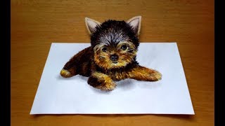 3D Drawing Yorkshire Terrier [upl. by Hamburger]