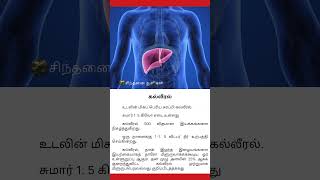 கல்லீரல் பற்றிய அரிய தகவல்கள் shortsfeed shorts shortvideo health history healthtips gk [upl. by Lynn572]