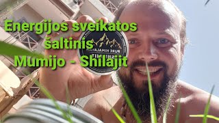 Mumijo  Shilajit nauda  Kaip vartoti [upl. by Kesia]