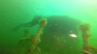 Scuba Diving Myrtle Beach SC  Charleston Tug Wreck [upl. by Enileuqcaj]