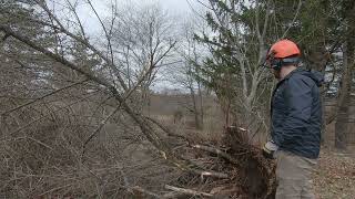 JOHN DEERE 1025R TREE STUMP REMOVAL [upl. by Ettari]