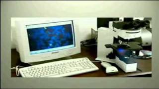 Introduction to Cytogenetics part1 [upl. by Ottinger]