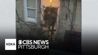 Police raid homes in Pennsylvania during drug sweep [upl. by Auohc]