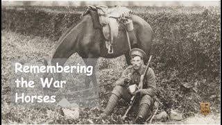 Remembering the War Horses TV Episode 202 [upl. by Donna785]