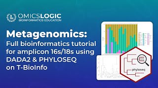 Metagenomics Full tutorial for amplicon 16s18s pipeline  DADA2 and PHYLOSEQ on the TBioInfo [upl. by Estele]