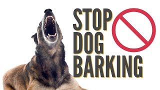 How To Quickly Stop Dog Barking [upl. by Eiltan]