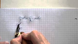 1 Zebra Gnib Brause Steno 361 nib writing [upl. by Ailin]