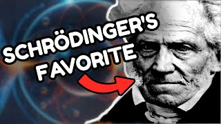 Why Quantum Physicists Love Schopenhauer [upl. by Gipsy]