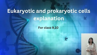 eukaryotic and prokaryotic cells explanation biology class 910 biology [upl. by Nerwal857]