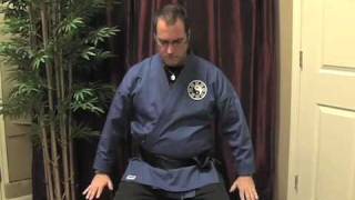 Qigong DVD Free Taoist Qigong Meditation [upl. by Sewole605]