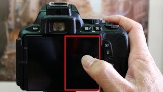 Nikon D5600 Touch Fn Focus Review [upl. by Nireves]