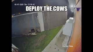 DEPLOY THE COWS [upl. by Marti434]