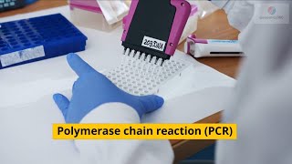 Polymerase chain reaction PCR [upl. by Jenine227]