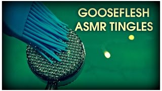 Gooseflesh ASMR Tingles [upl. by Allyn]