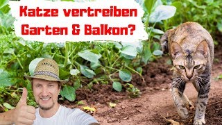 Katze vertreiben im Garten amp Balkon 🐱 Kennst du diesen Trick [upl. by Neilla]