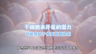 干细胞未开发的潜力可能有助于修复脊髓损伤 [upl. by Akimas853]