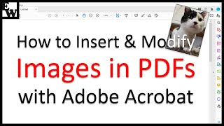 How to Insert and Modify Images in PDFs with Adobe Acrobat [upl. by Wolsniw619]