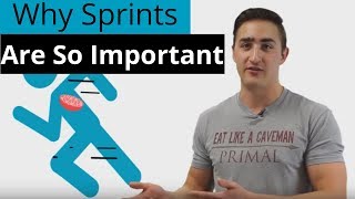 Why Sprints Are So Important Benefits Of Sprints [upl. by Acemaj367]