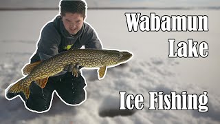 Ice Fishing for Burbot and Pike at Wabamun Lake Alberta [upl. by Waylin509]