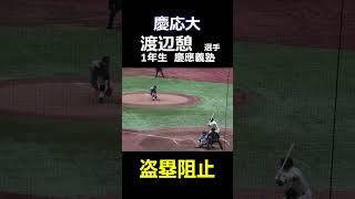 慶応大 1年生 渡辺憩 選手 盗塁阻止（2024年東京六大学野球秋季リーグ 早稲田大vs慶応大）昨年の夏の甲子園 優勝選手 [upl. by Strephonn]