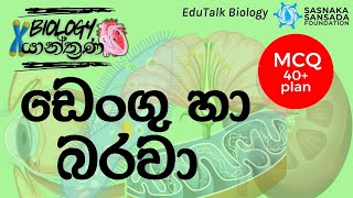 ඩෙංගු හා බරවා  Dengue amp Filaria  EduTalk Biology [upl. by Manning]