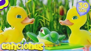 Cinco patitos  Rimas y canciones infantiles  LooLoo [upl. by Anovad208]