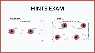 HINTS Exam Explained [upl. by Korenblat]